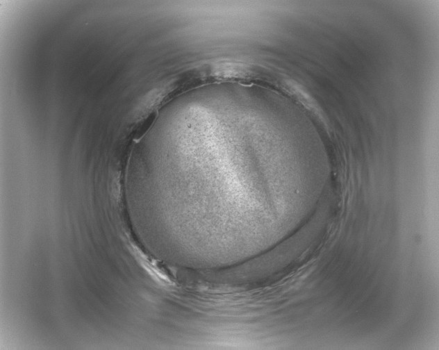 X0000066100401200603171402