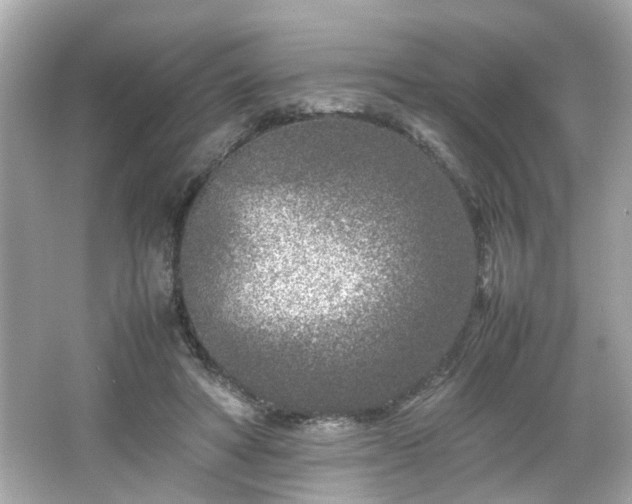 X0000066100402200603171402