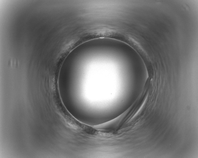 X0000066100403200603171402