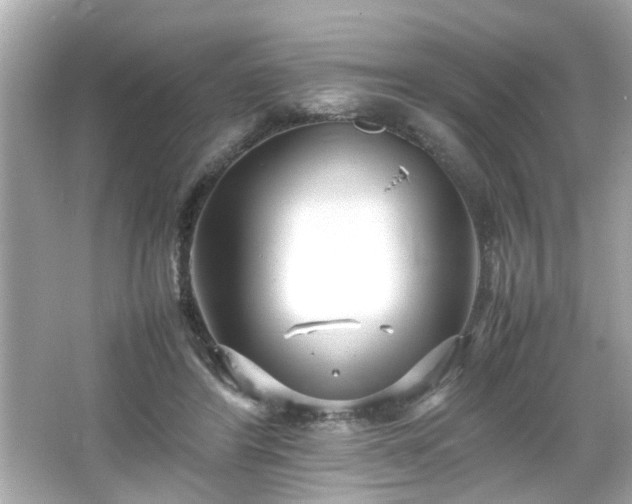 X0000066100404200603171402