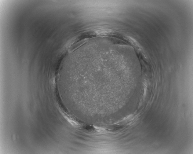 X0000066100405200603171402