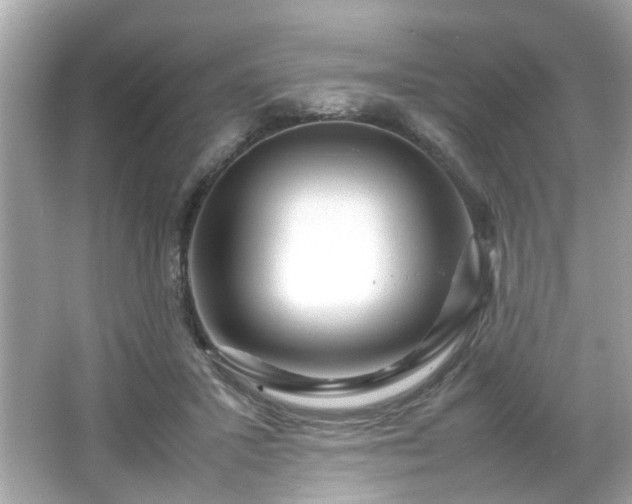 X0000066100407200603171402