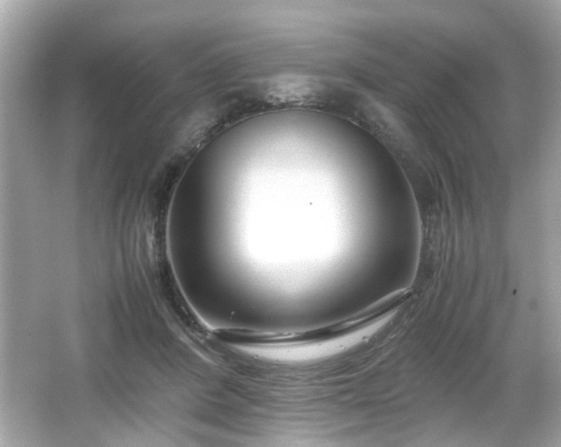 X0000066100408200603171402