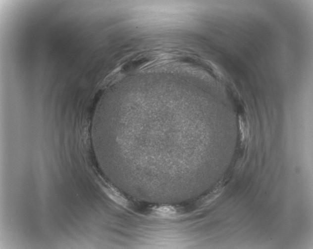 X0000066100409200603171402