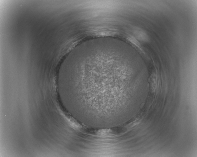 X0000066100410200603171402