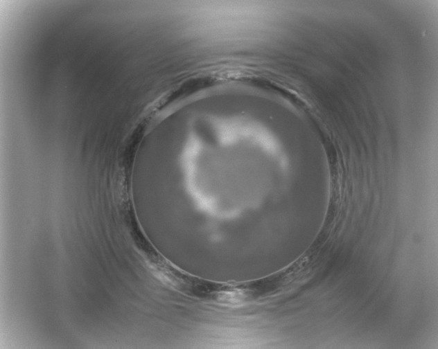 X0000066100411200603171402