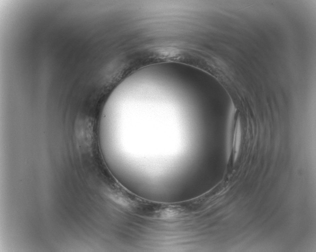 X0000066100412200603171402