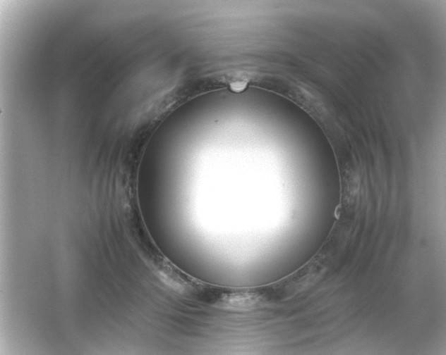 X0000066100414200603171402