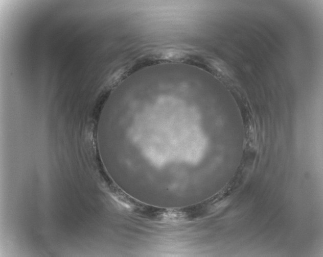 X0000066100415200603171402