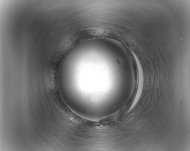 X0000066100416200603171402