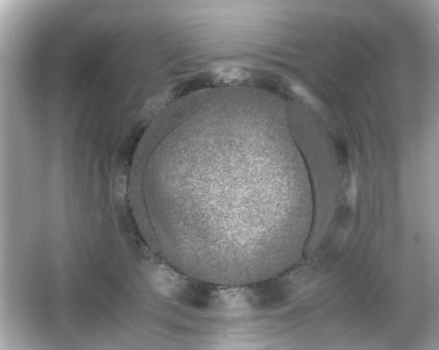 X0000066100417200603171402