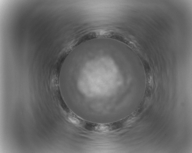 X0000066100419200603171402