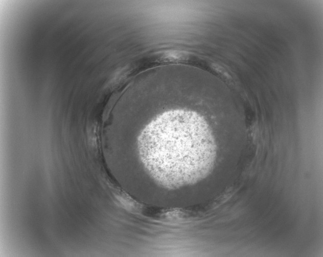 X0000066100423200603171402