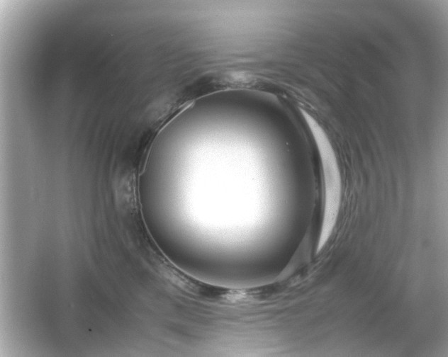 X0000066100425200603171402