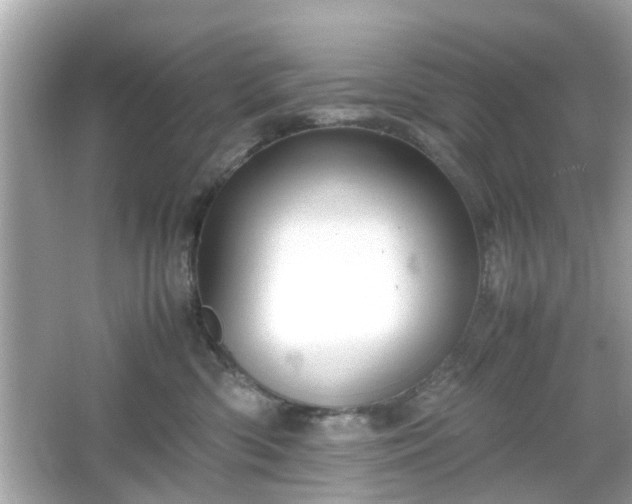 X0000066100426200603171402