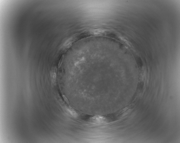 X0000066100427200603171401