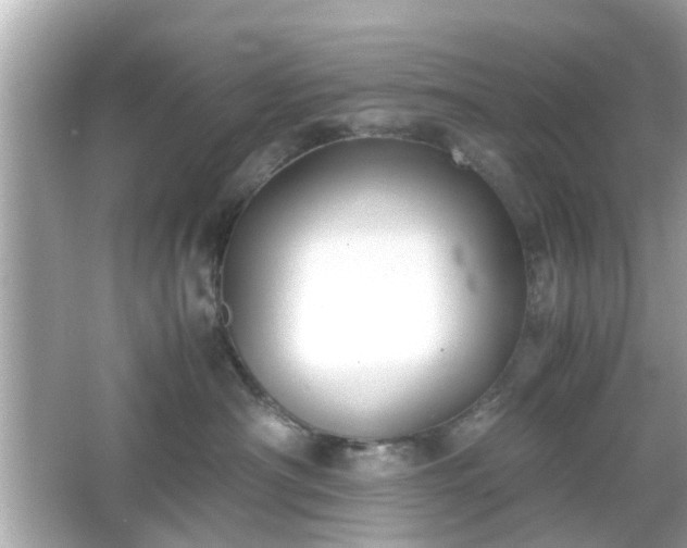 X0000066100430200603171401