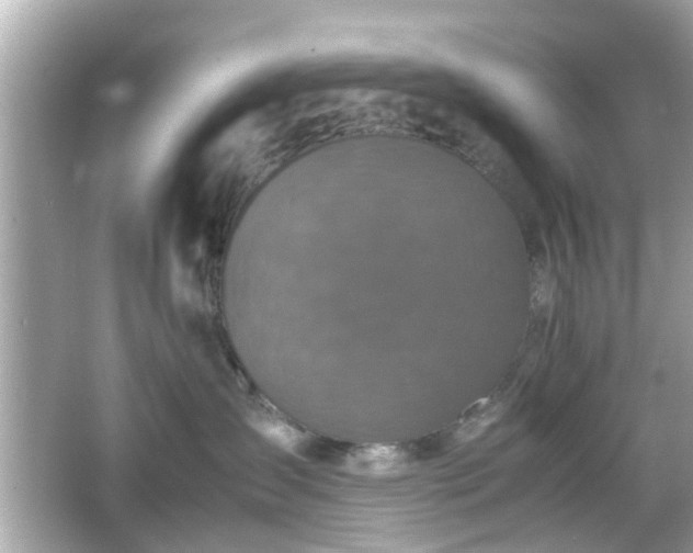 X0000066100431200603171401