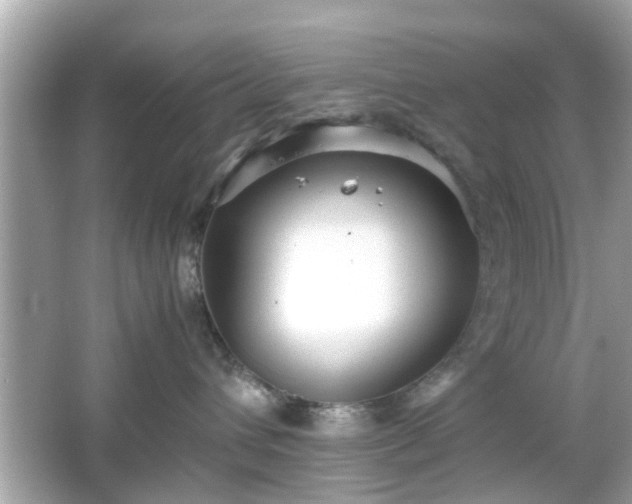 X0000066100432200603171401