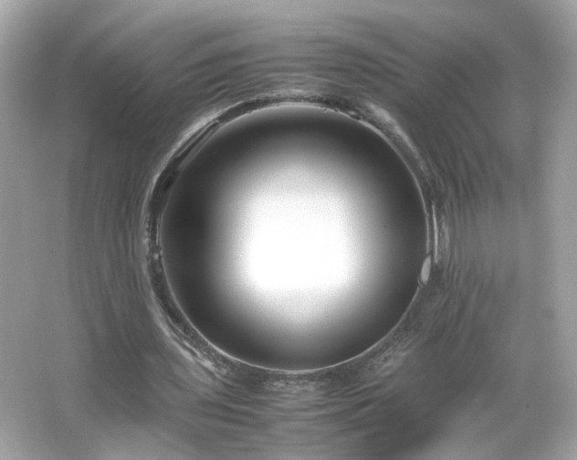 X0000066100435200603171401