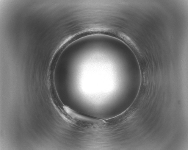 X0000066100436200603171401