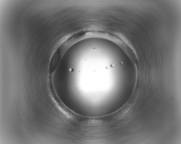 X0000066100437200603171401