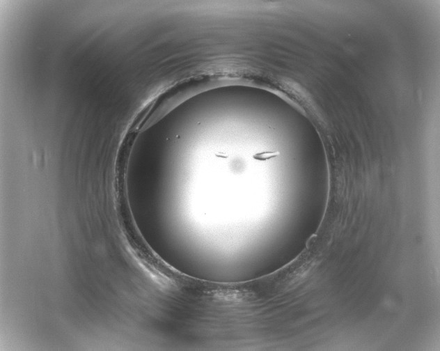 X0000066100439200603171401