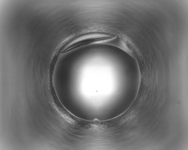 X0000066100442200603171401