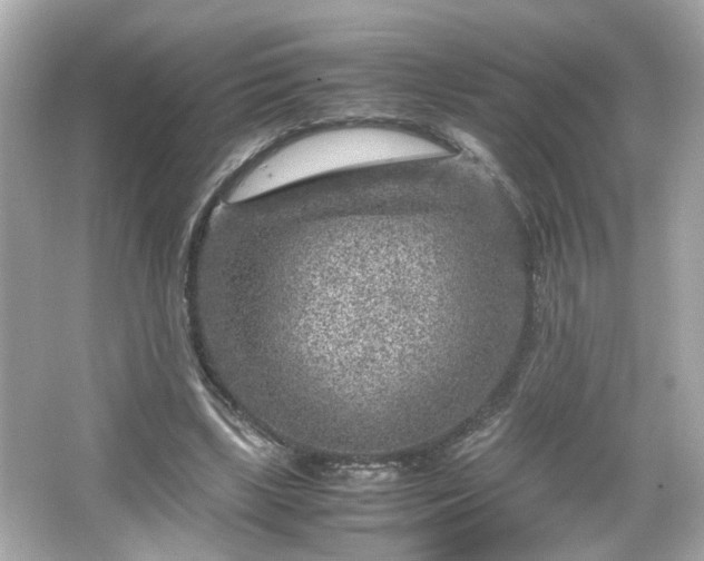 X0000066100443200603171401