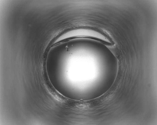 X0000066100447200603171401