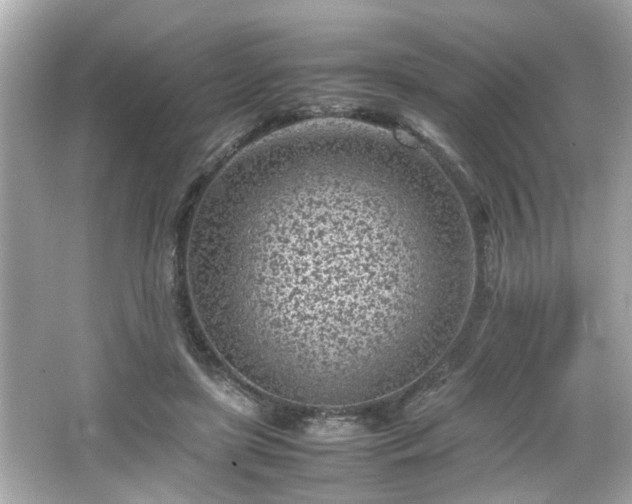 X0000066100451200603171401