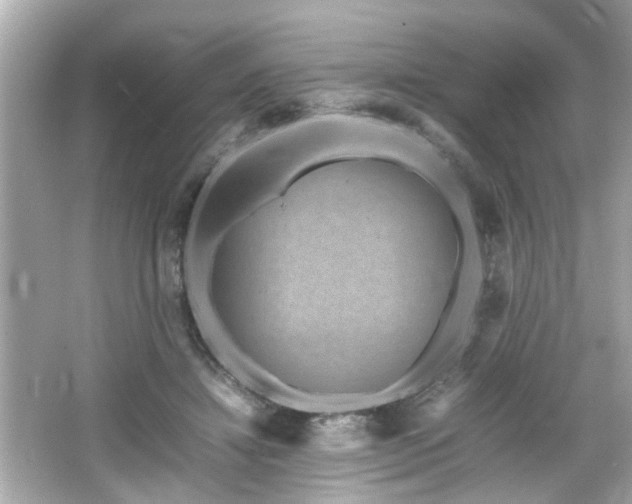 X0000066100452200603171401