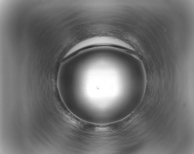 X0000066100457200603171401