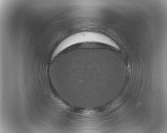 X0000066100458200603171401