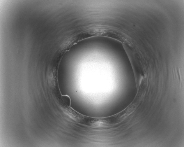 X0000066100460200603171401