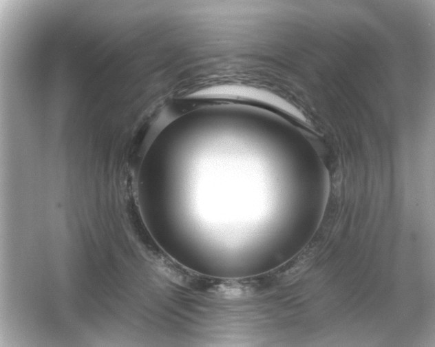 X0000066100464200603171401