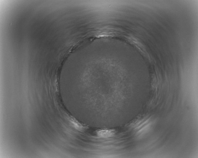 X0000066100465200603171401