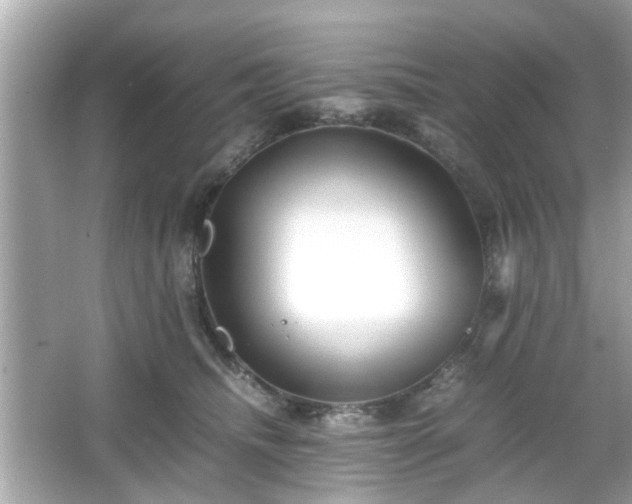 X0000066100468200603171401