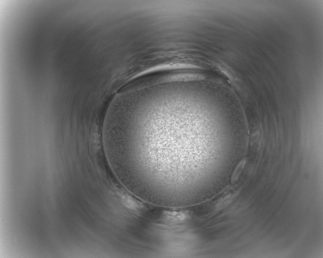 X0000066100469200603171401