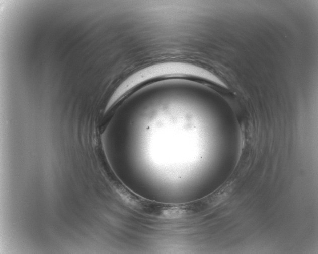 X0000066100470200603171401