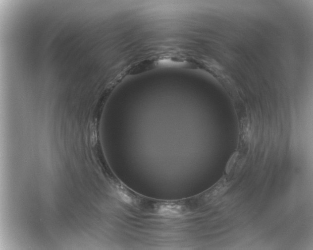 X0000066100471200603171401