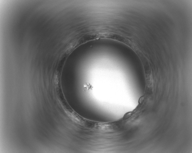 X0000066100472200603171401