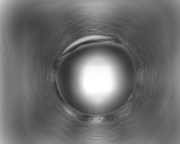 X0000066100474200603171401