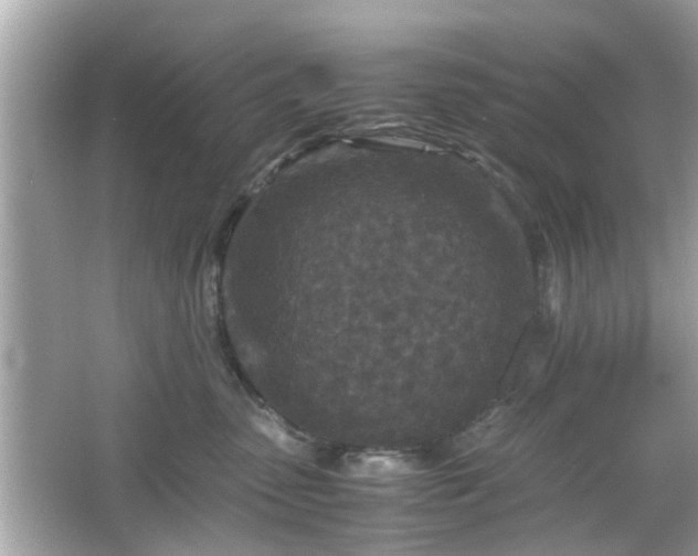 X0000066100475200603171401