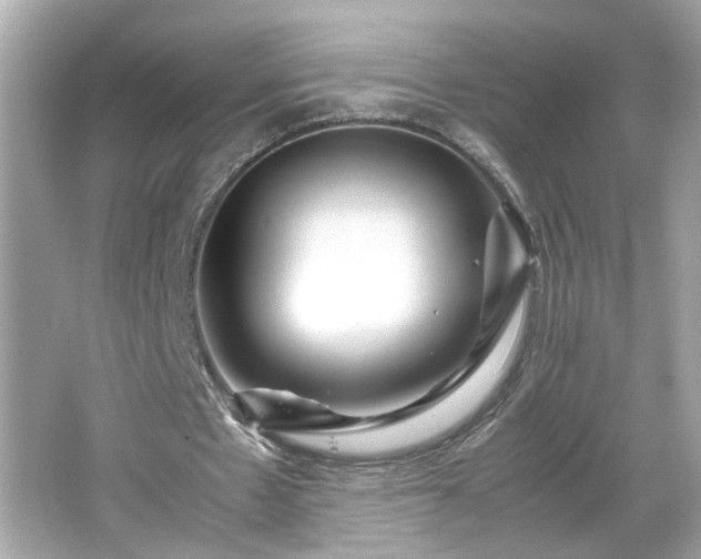 X0000066100481200603171401