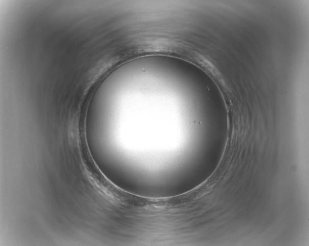 X0000066100482200603171401