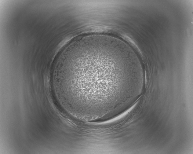 X0000066100483200603171401