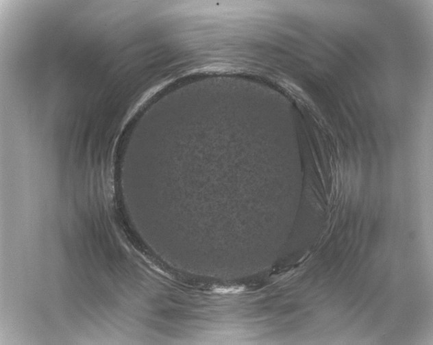 X0000066100484200603171401