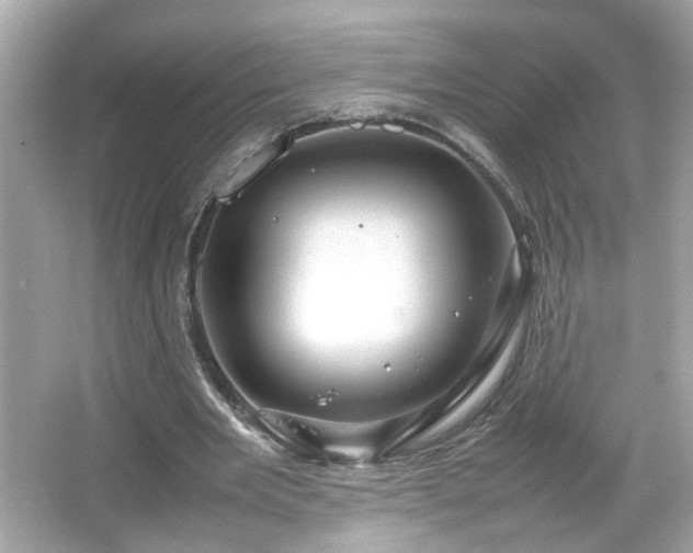 X0000066100485200603171401