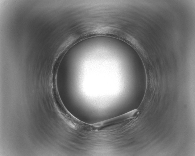 X0000066100486200603171400